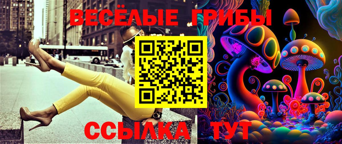 Галлюциногенные грибы Psilocybine cubensis Кириши