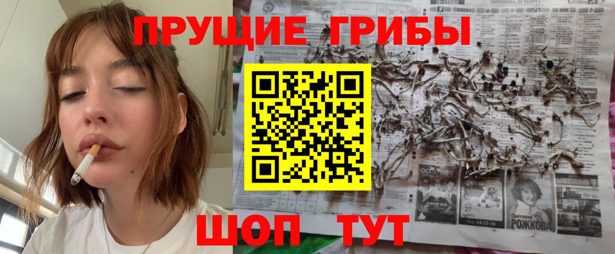Кириши  Галлюциногенные грибы мухоморы  Вход с VPN 